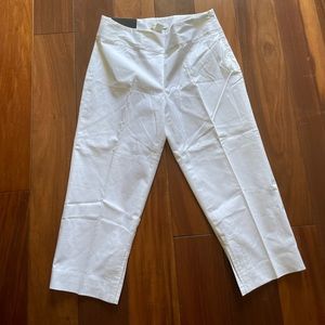 NWT Banana Republic Harrison pants